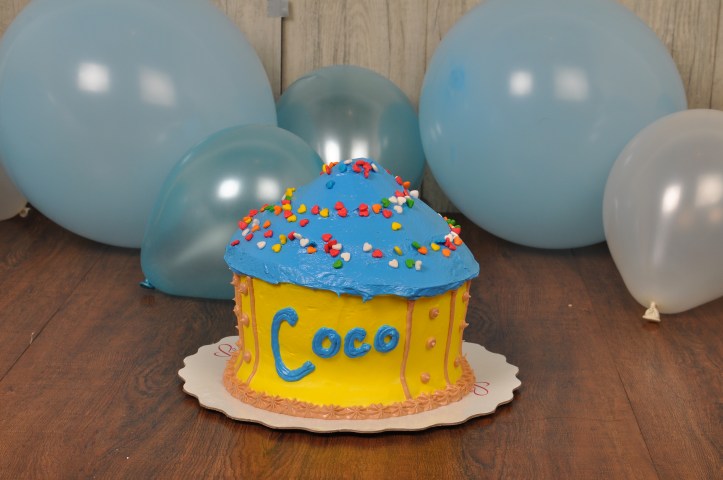 CAKE SMASH LITTLE GENTLEMAN SHOOT NICEPRINT (1)