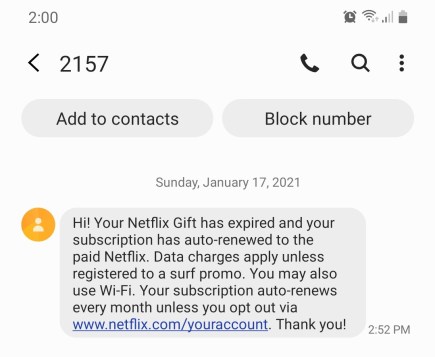netflixglobephished (1)