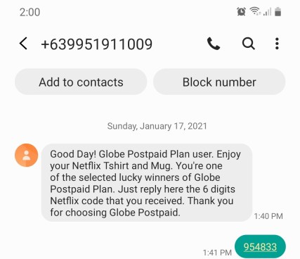netflixglobephished (2)