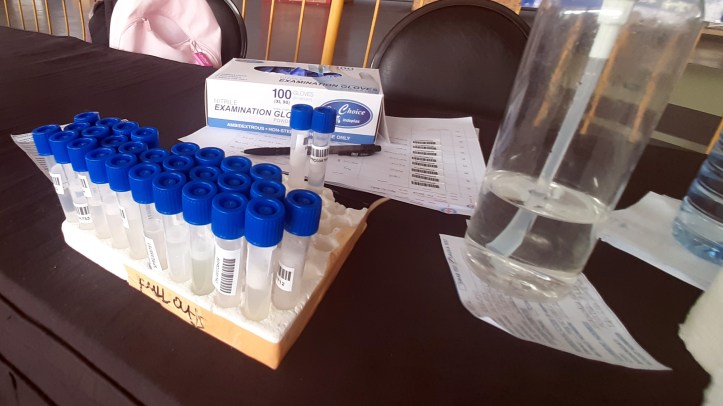 redcross saliva test rtpcr 8