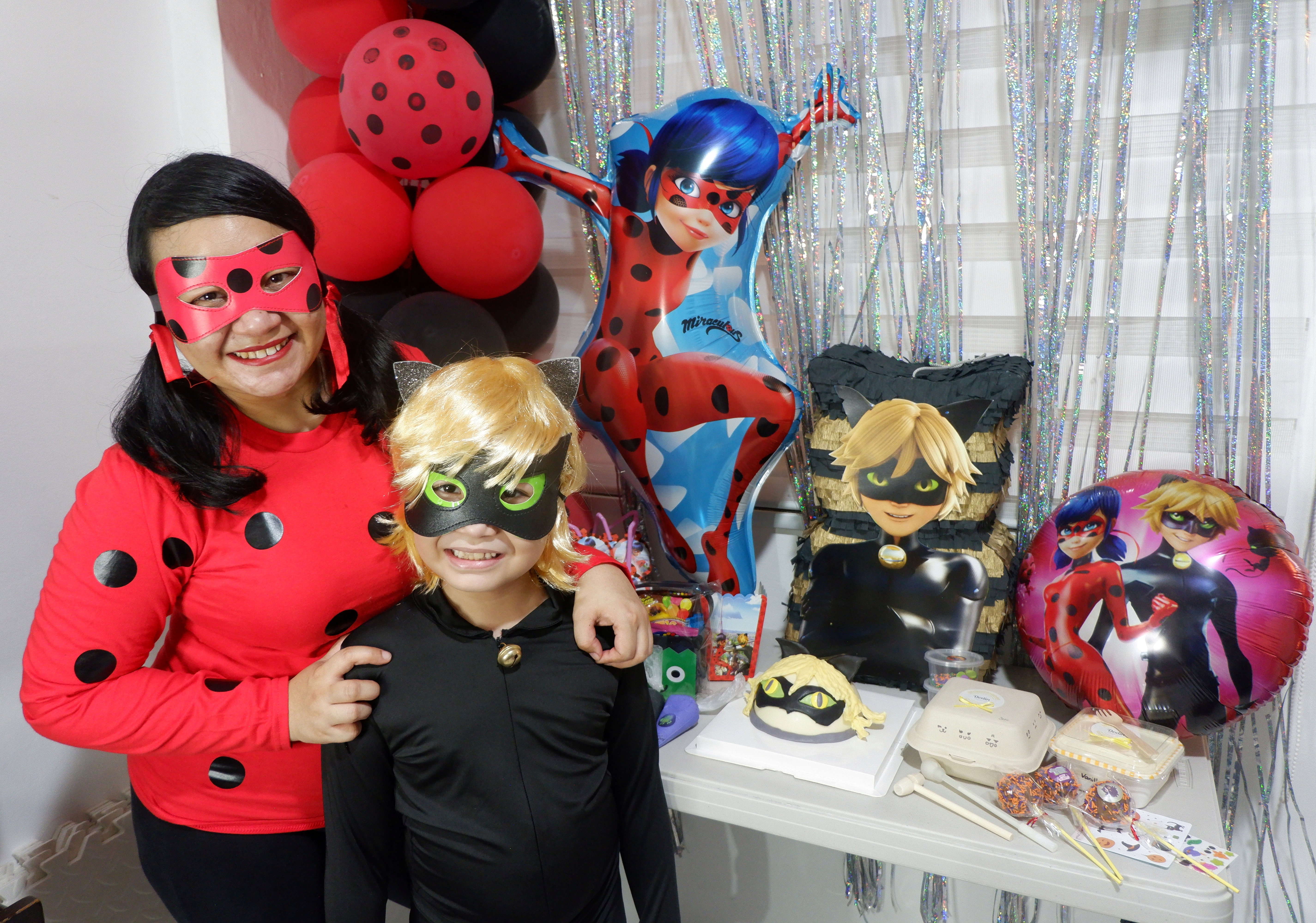 MiraculousLadyBugCatNoirParty10