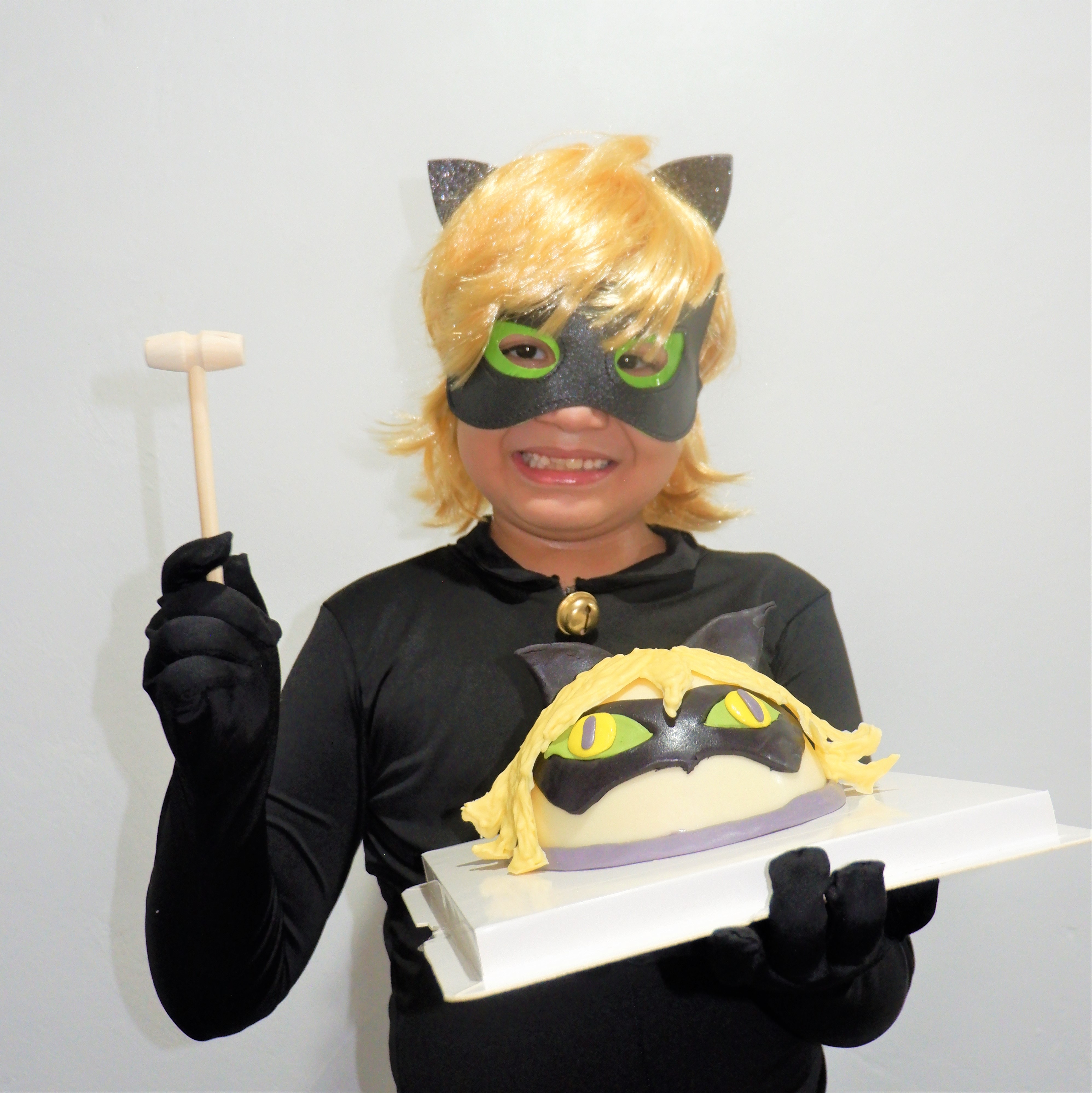 MiraculousLadyBugCatNoirParty11