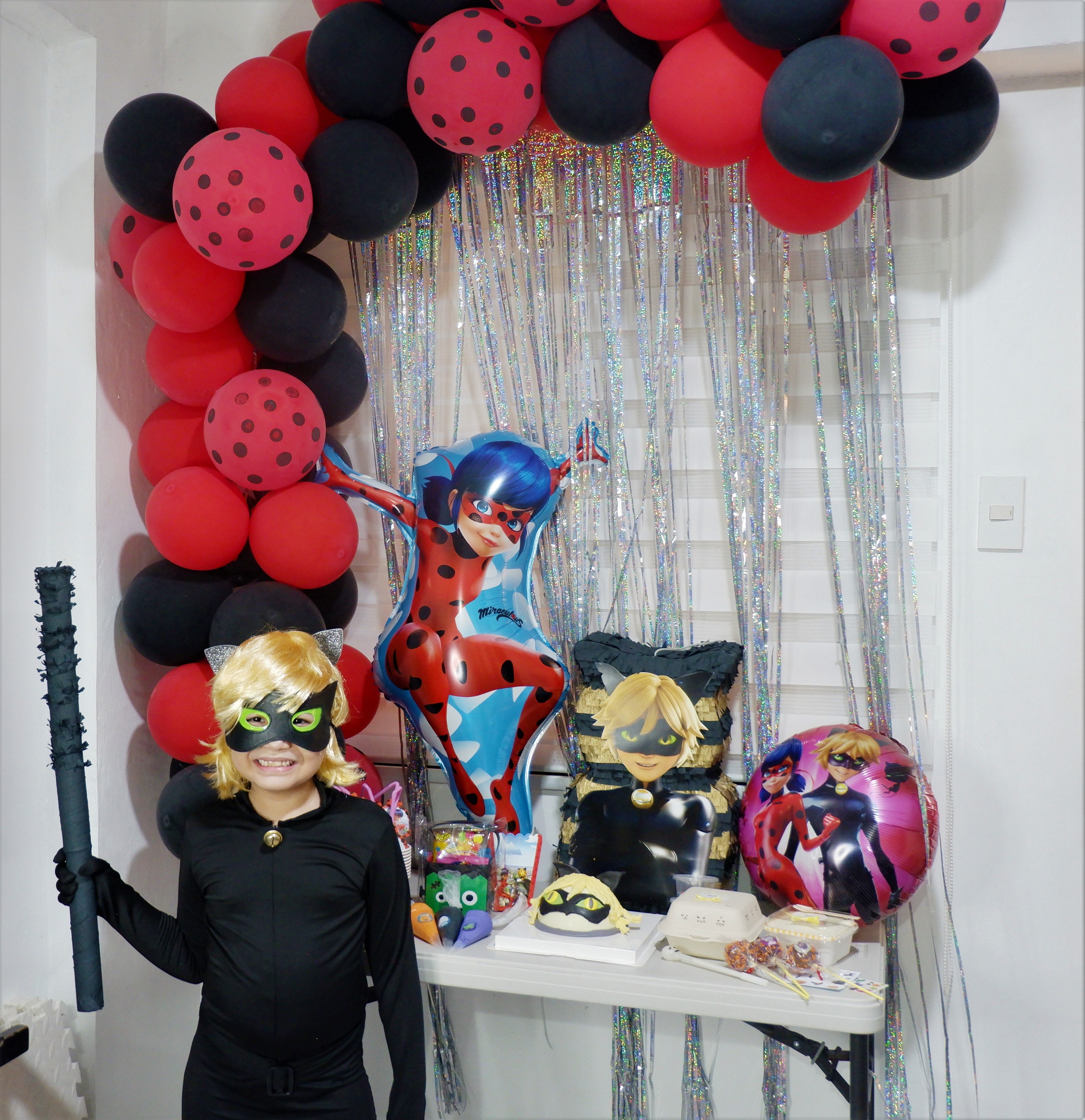 MiraculousLadyBugCatNoirParty9