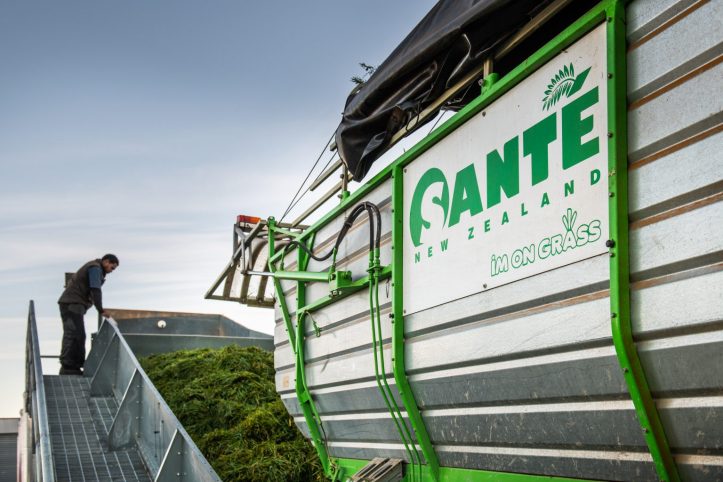 The Santé Journey From New Zealand Farms to Your Healthy Drink