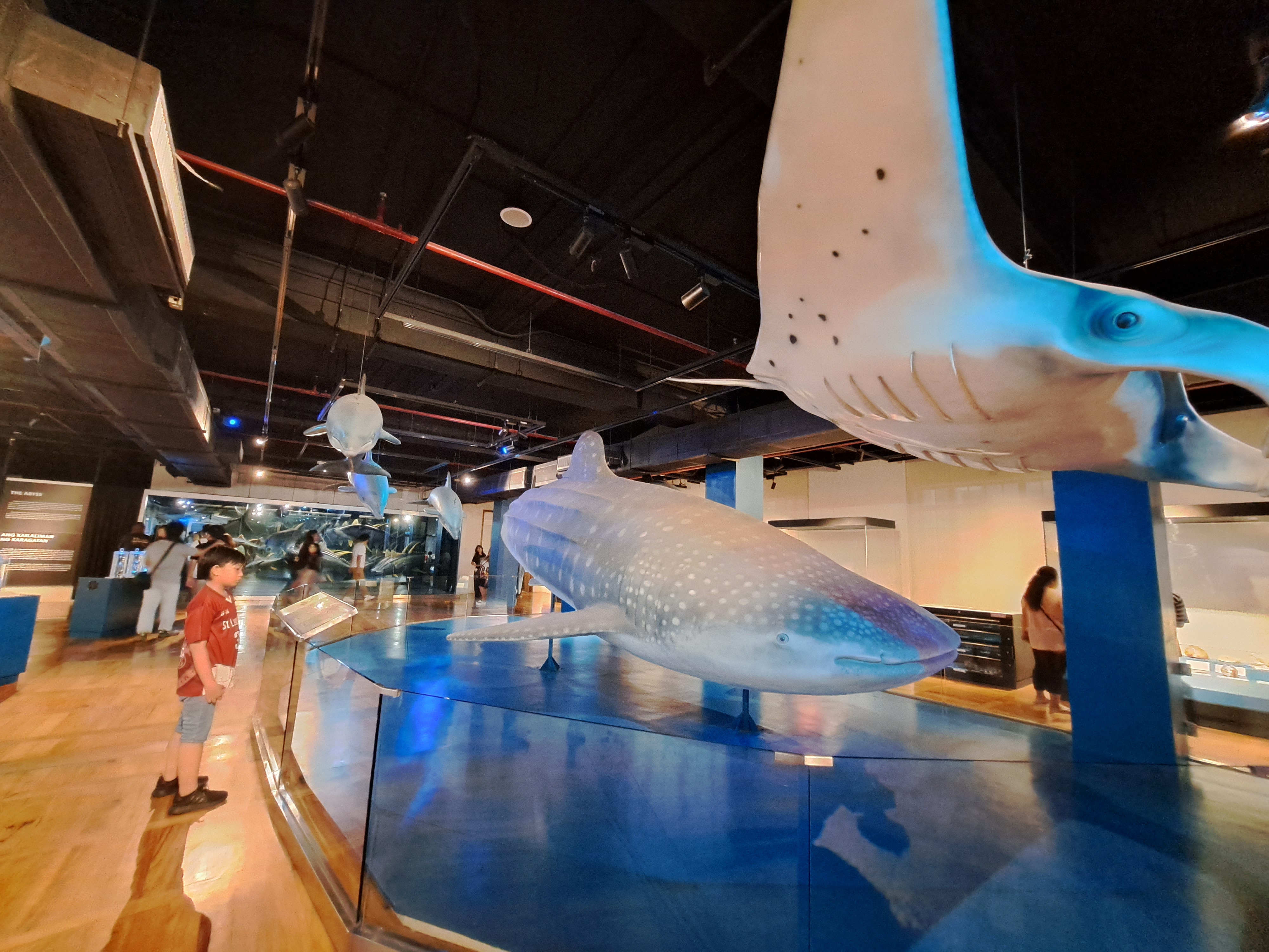 national museum of natural history manila philippines 10