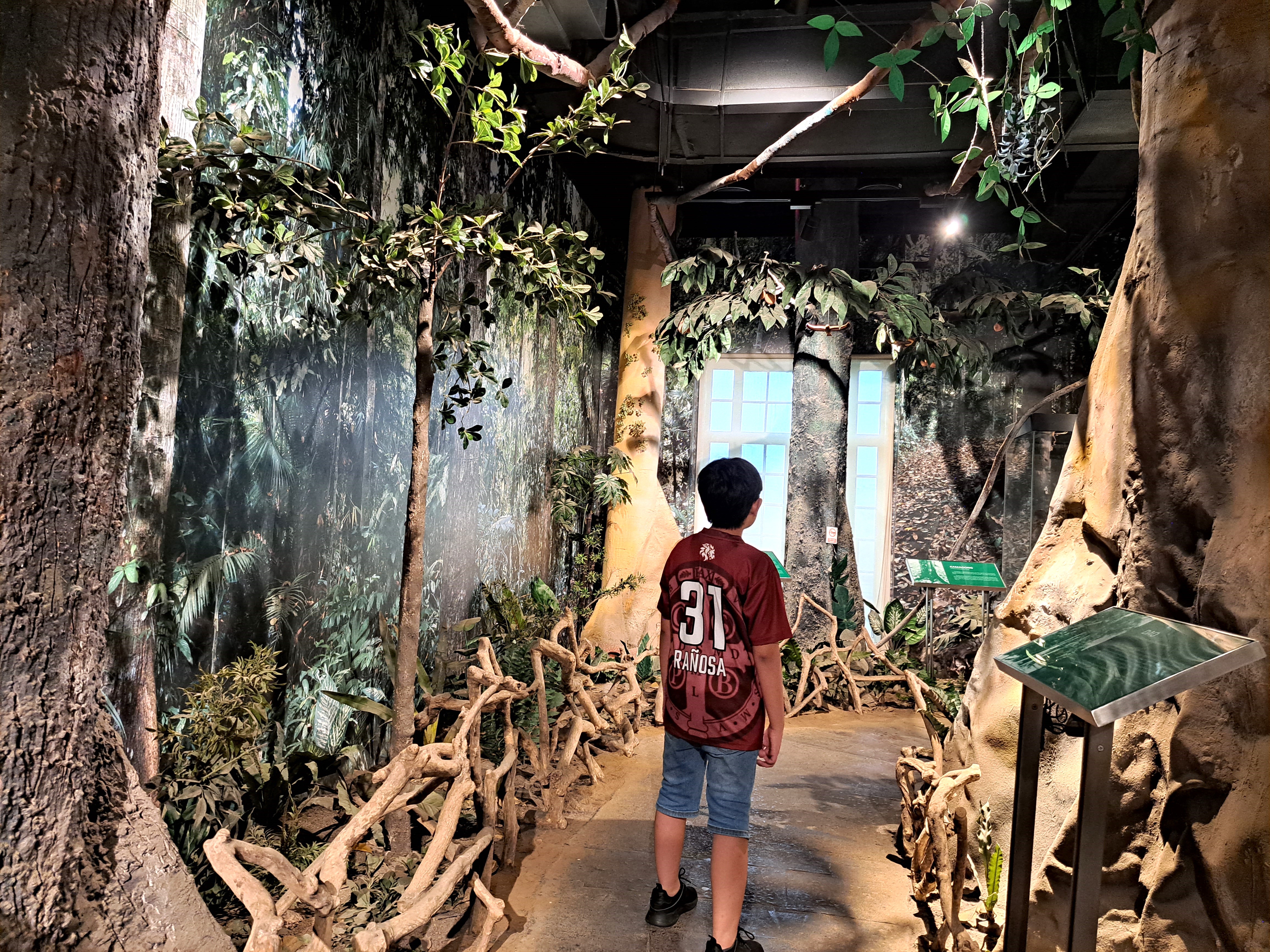 national museum of natural history manila philippines 15