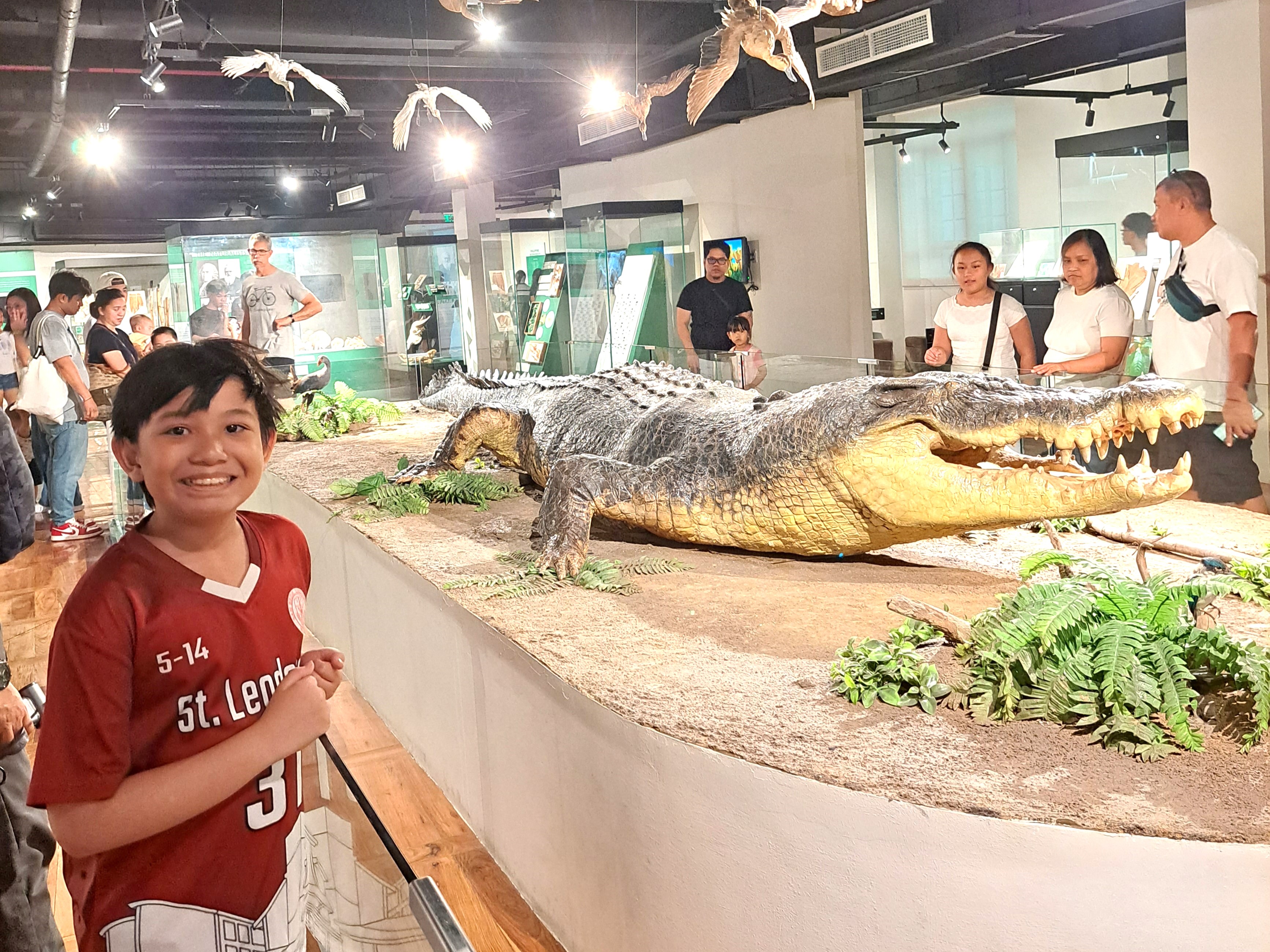national museum of natural history manila philippines 16