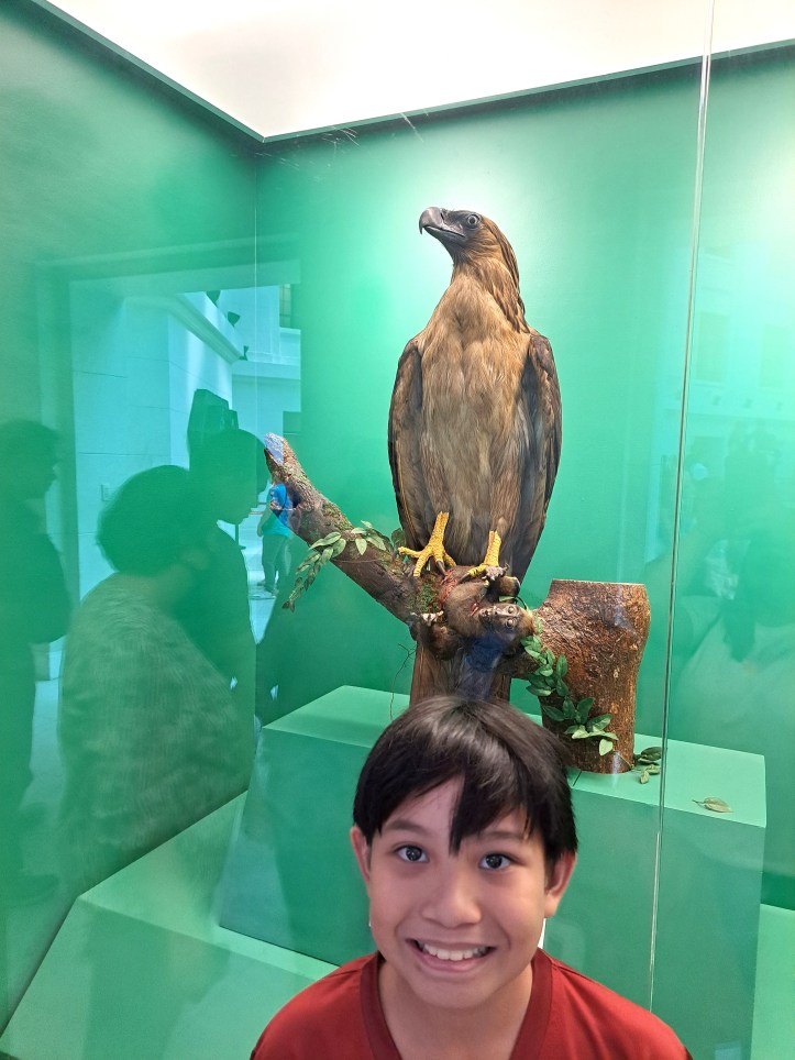 NATIONAL MUSEUM OF NATURAL HISTORY MANILA HOURS intelligence overview